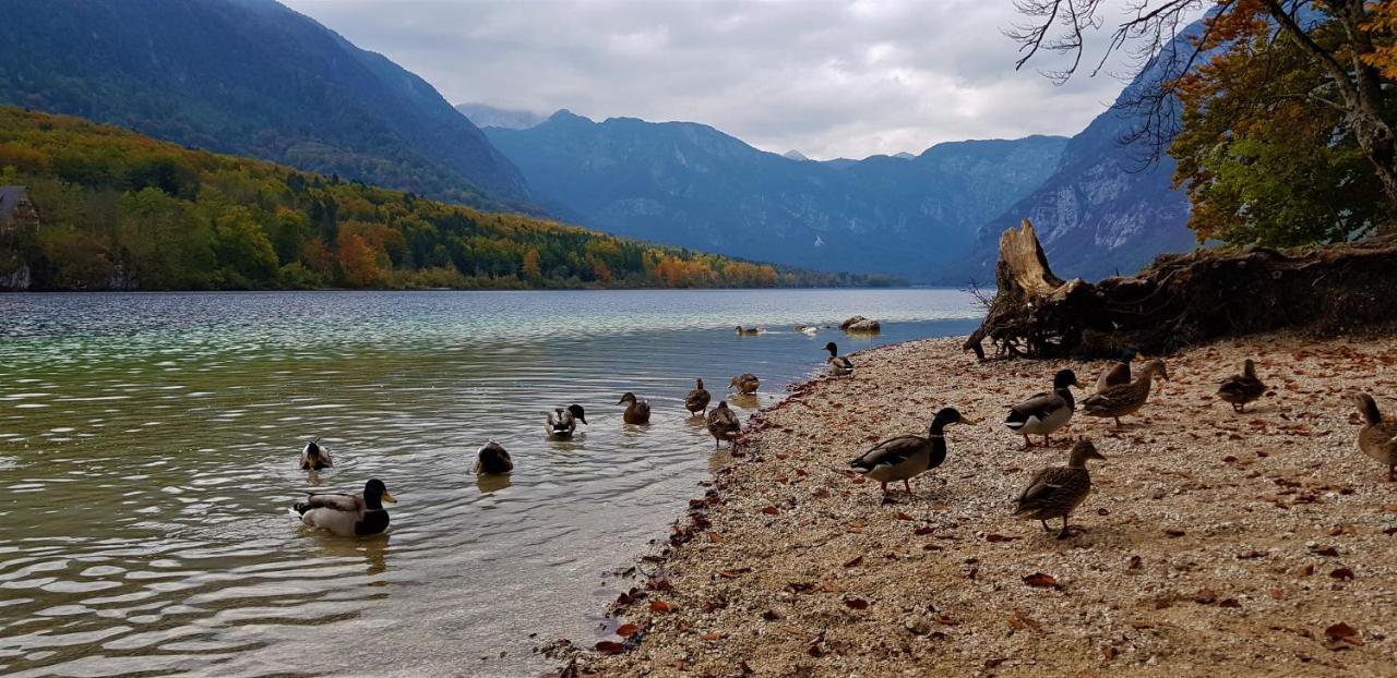 7 Lakes Apartment Bohinj Exterior foto